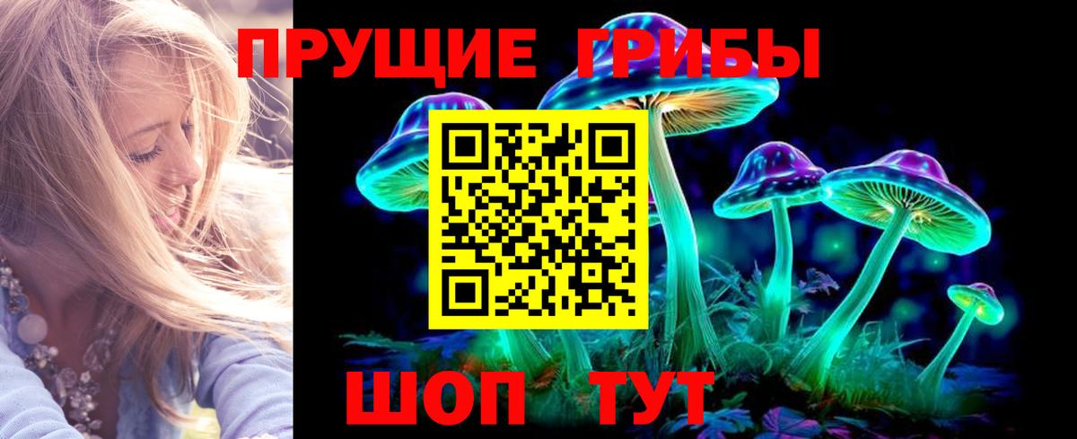 Киржач  Галлюциногенные грибы GOLDEN TEACHER  Вход с VPN 